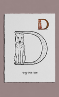 Illustration of the letter D for Dog