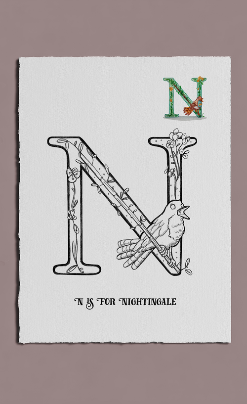illustration of the letter N for nightingale