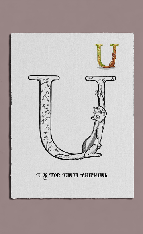Letter 'U' with a cat illustration and text on a white background