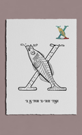 Letter 'X' with an illustration of an x-ray fish on a white background