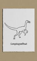 Dinosaurs - Compsognathus