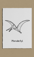 Black line drawing of a pterodactyl on a white background
