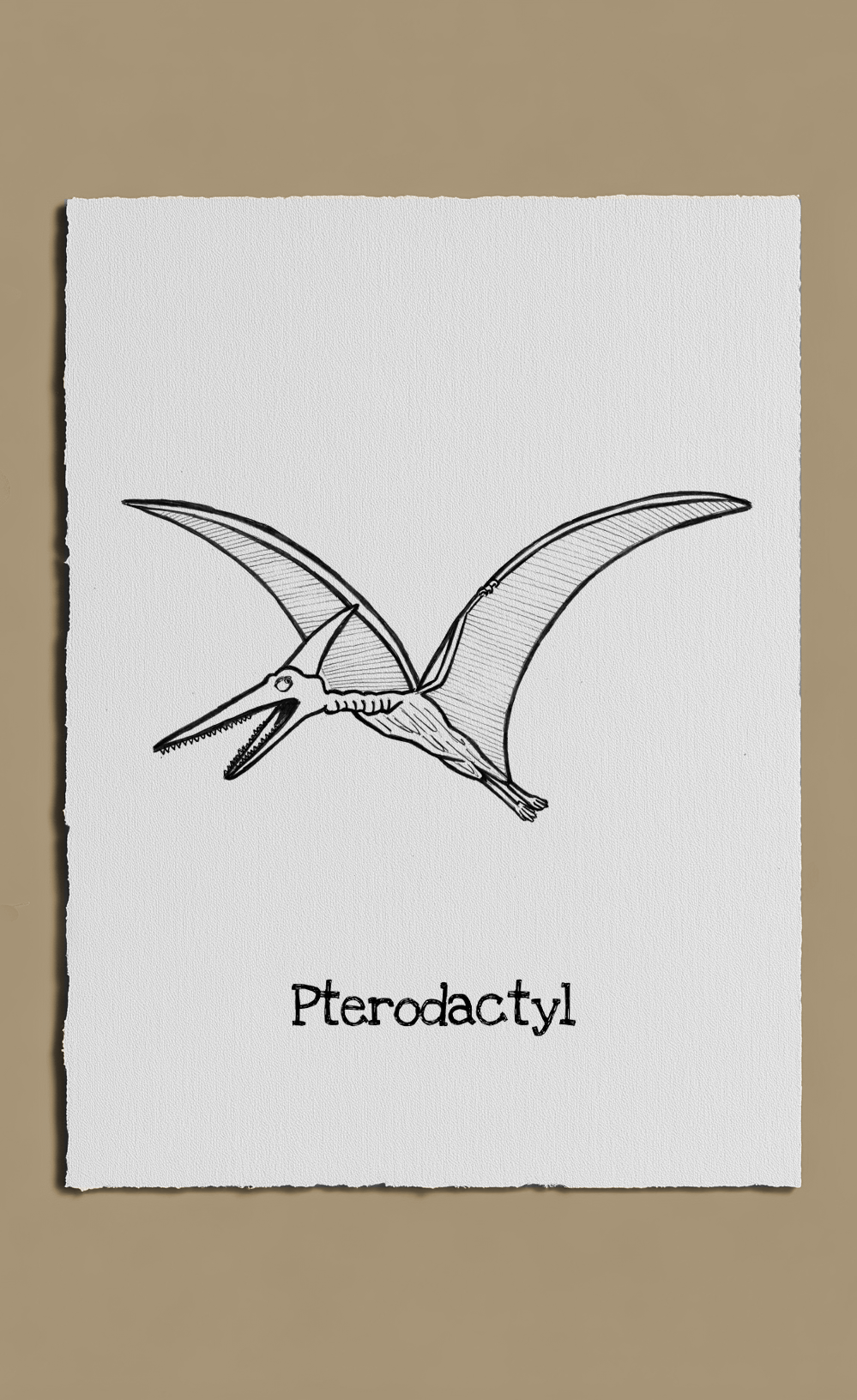 Black line drawing of a pterodactyl on a white background