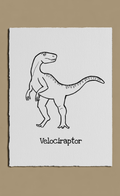 Velociraptor