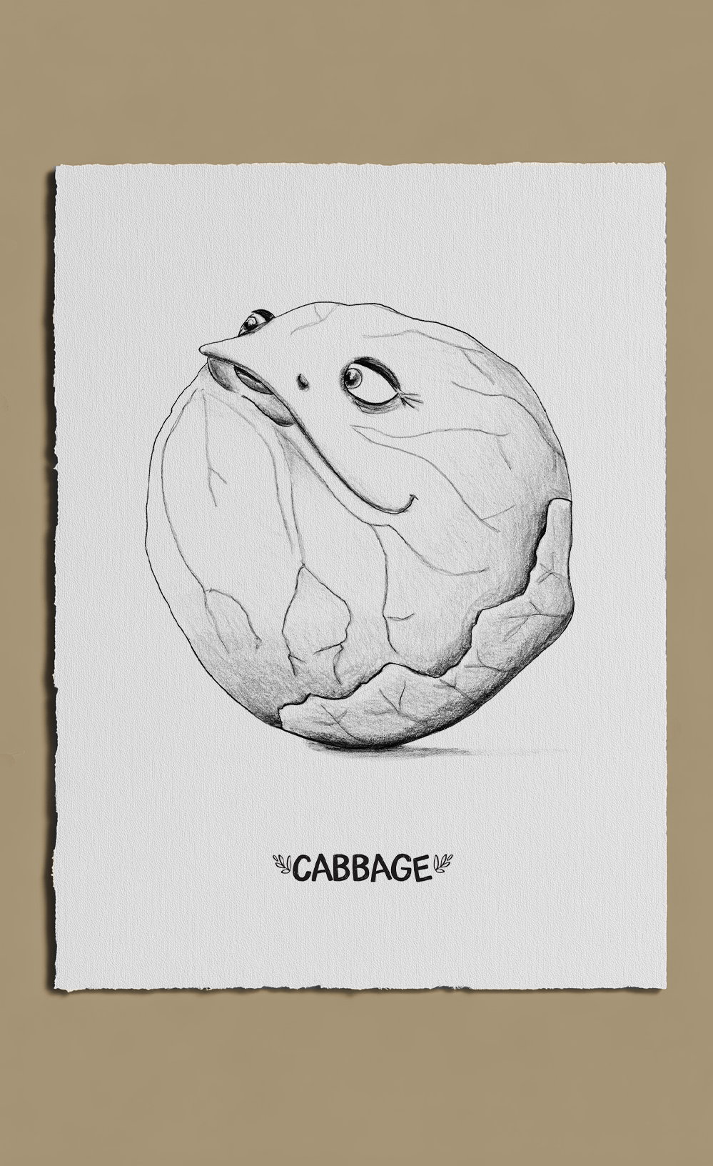cabbage
