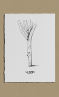 Black and white illustration of a leek on a beige background