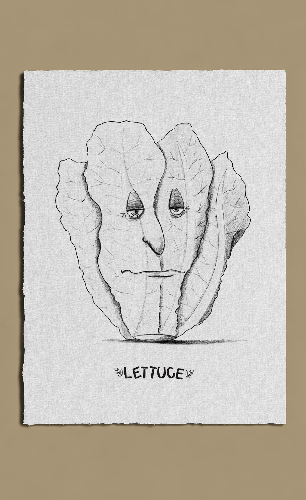 Vegetable Patch - Lettuce